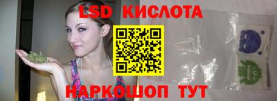 СК Шелехов