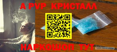Альфа ПВП Шебекино