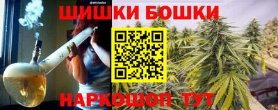 СК Шелехов