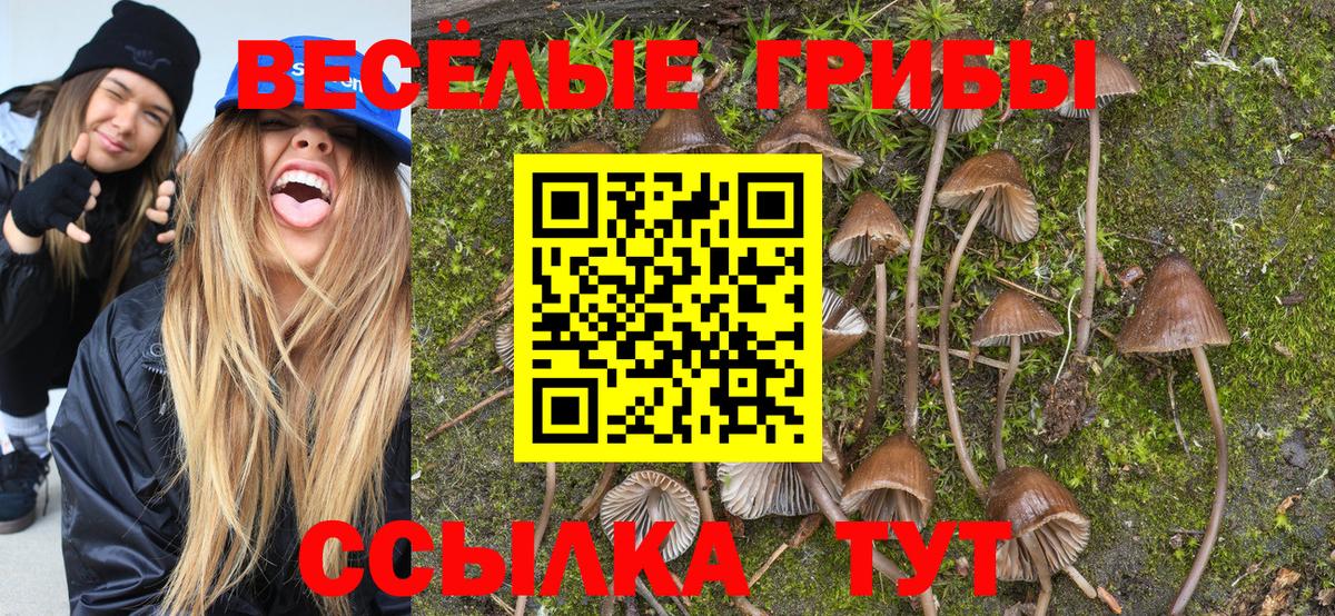 Псилоцибиновые грибы MAGIC MUSHROOMS  Вход с VPN  Будённовск  Галлюциногенные грибы Magic Shrooms 